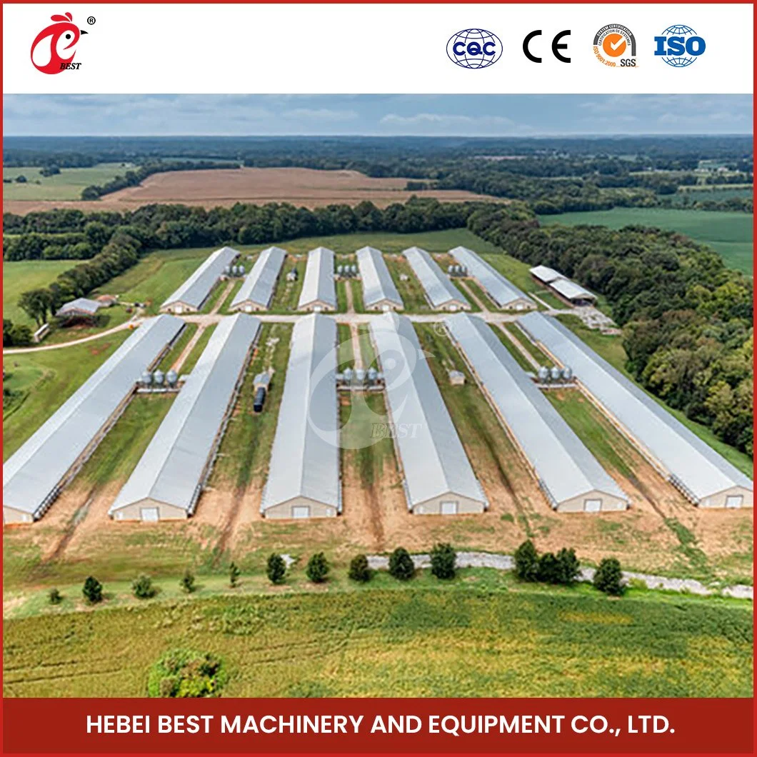 Bestichercage Stahl Geflügel Haus China Struktur Stahl Hühnerstadien Herstellung Automatische Geflügel Huhn Farmhouse Großhandel Light Steel Poultry House