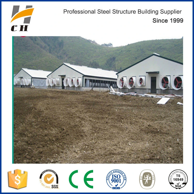 Professional Design Modern Automatic Chicken Farm Shed for Broilers and Layers