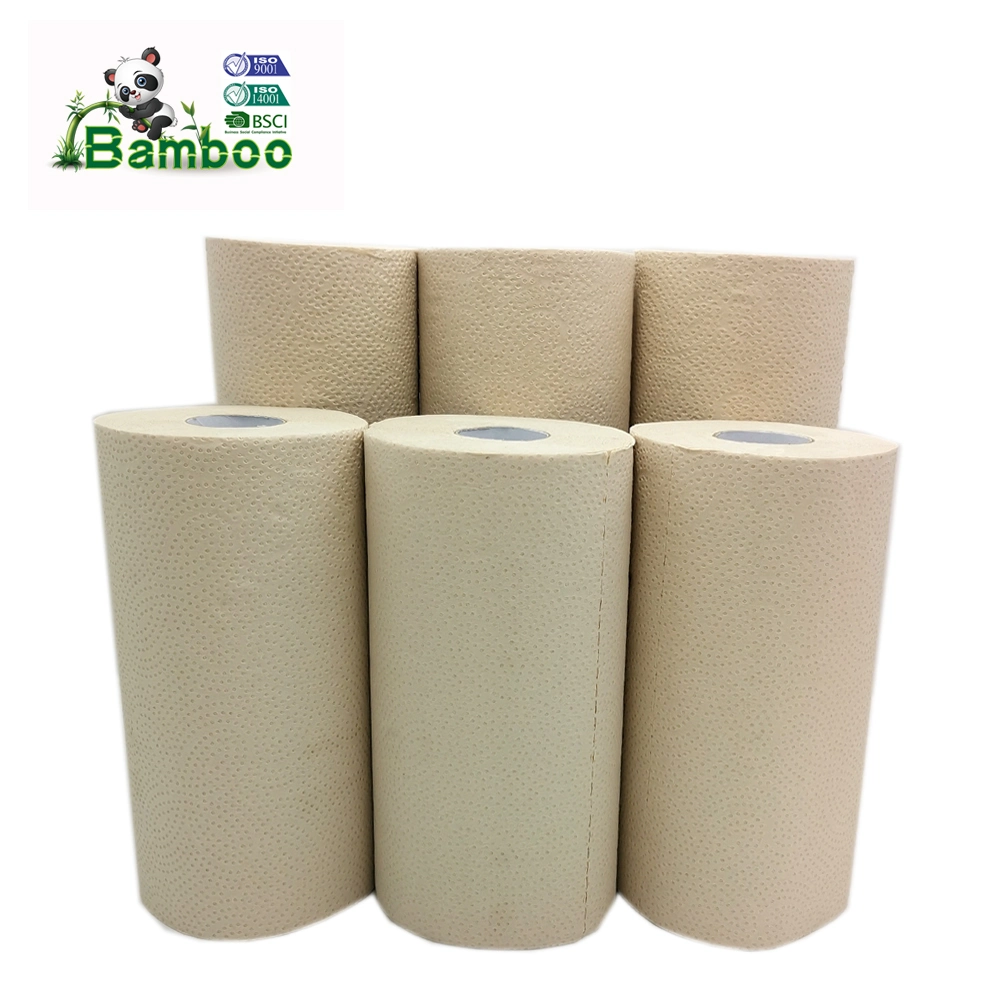 Bamboo Rouleaux de Papier Essuie-Tout Pack de 2 Rouleaux (2 épaisseurs) Biodégradables, Polyvalents, Sans Plastique, Écologiques, Super Absorbants, Solides et Durables