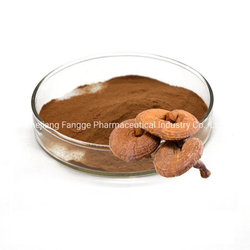 Organic Reishi Dual Extract Powder, Ganoderma Lucidum Dual Extract Powder, Triterpene 4%