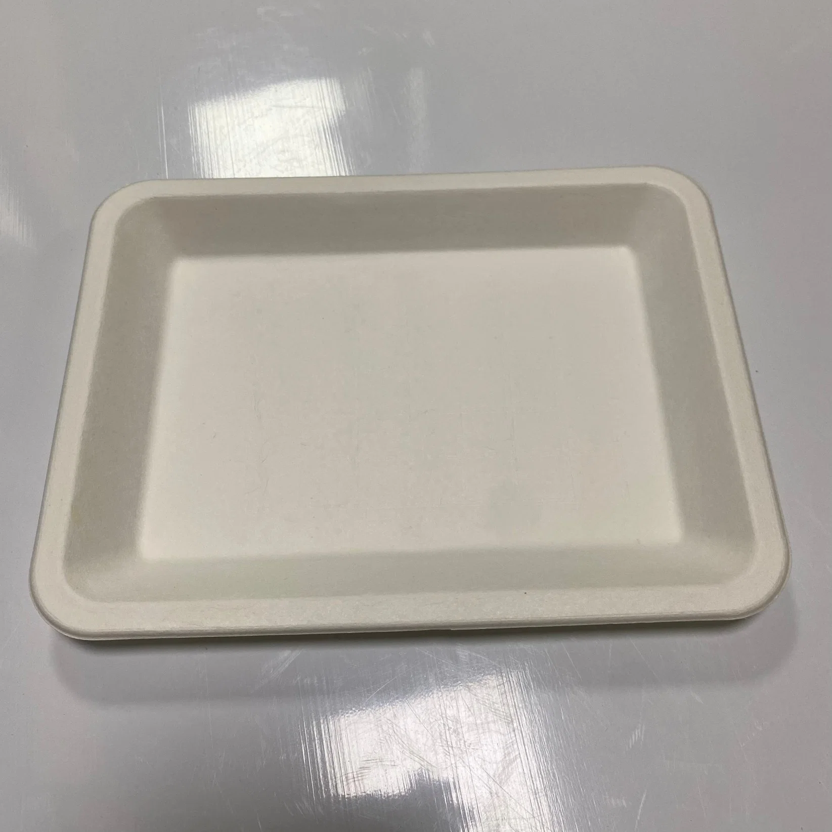 Home Compost with Hight Quality Eco-Friendly Biodegradable Food Tray Sugarcane Bagasse Paper Pulp Tableware Biodegradable Trays Disposable Food Holder