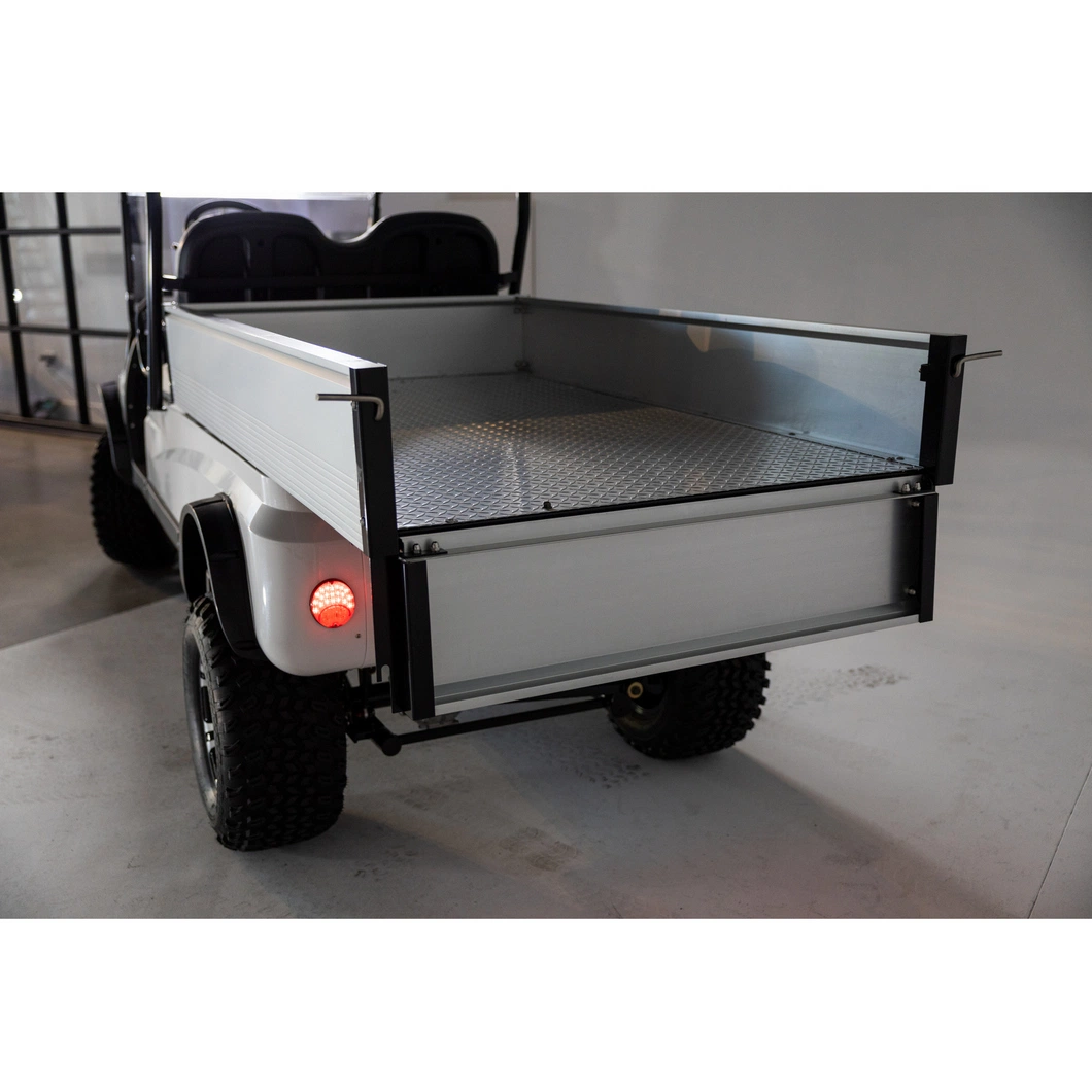 Battery Powered Golf Cargo Buggy 2 Seater Electric Cart Hotel Car