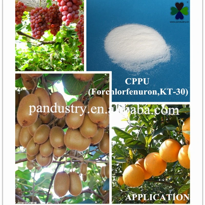 Citocinina regulador del crecimiento vegetal KT-30 Forclorfenurón Cppu