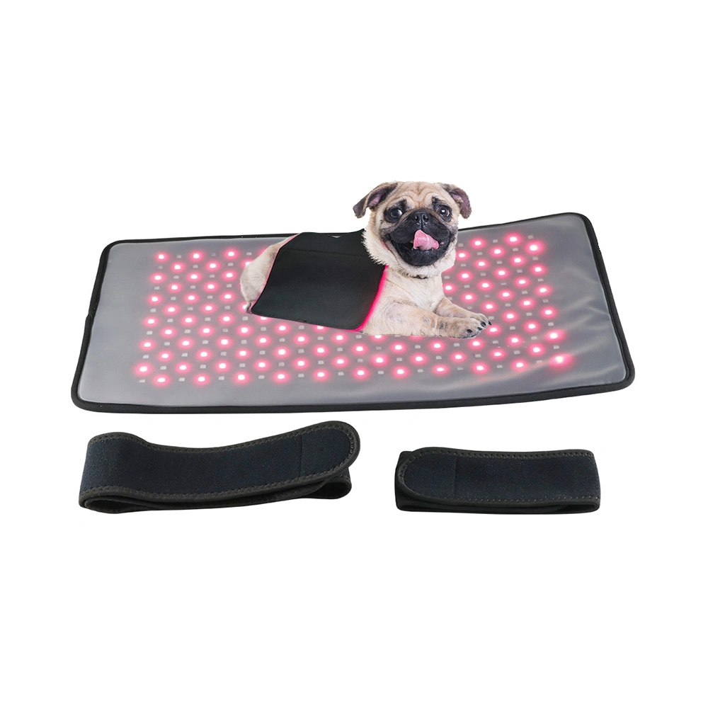 Wholesale/Supplier Full Body PDT Infrared Red LED Light Therapy Pad