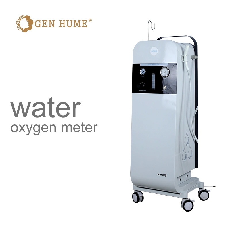 Factor Precio agua Inyección de oxígeno máquina de belleza médica Facial profundo Limpieza Cuidado de la piel pequeña burbuja Salón de belleza máquina agua oxígeno Equipo de peeling de chorro