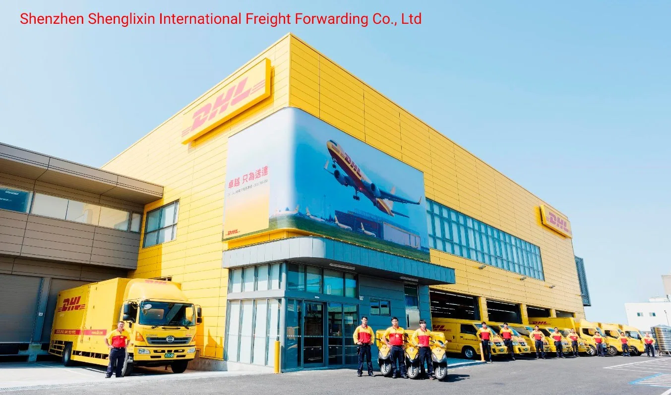 Ultra Bajo DHL Freight, Enviado a Estados Unidos, Canadá, México, Europa, Sudeste Asiático, Emiratos Árabes Unidos, América del Sur y Países Africanos