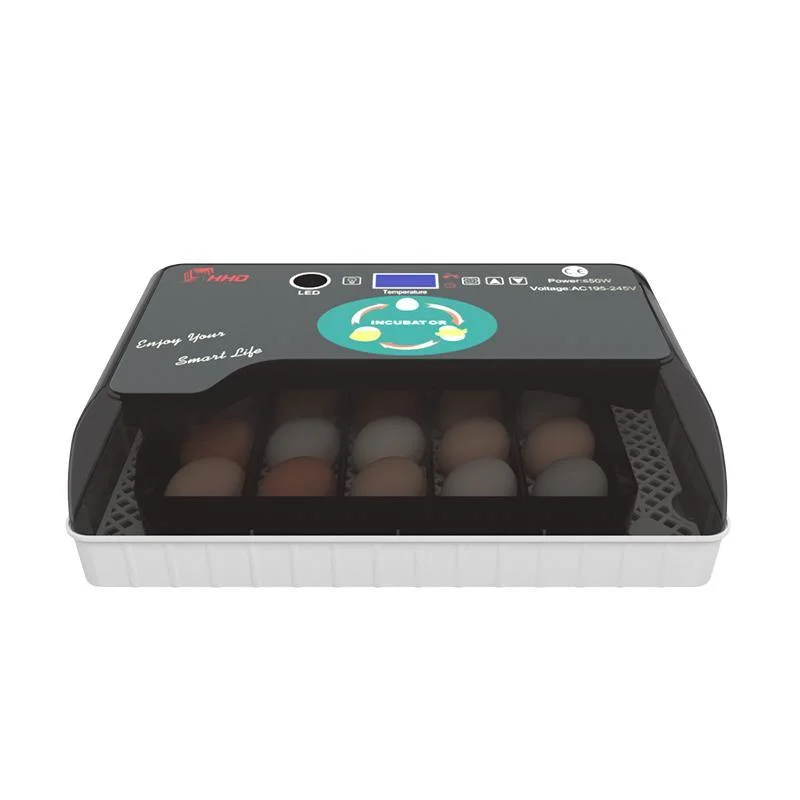 Hhd New Chicken Eggs Best Selling Automatic Egg Incubator Ew9-20