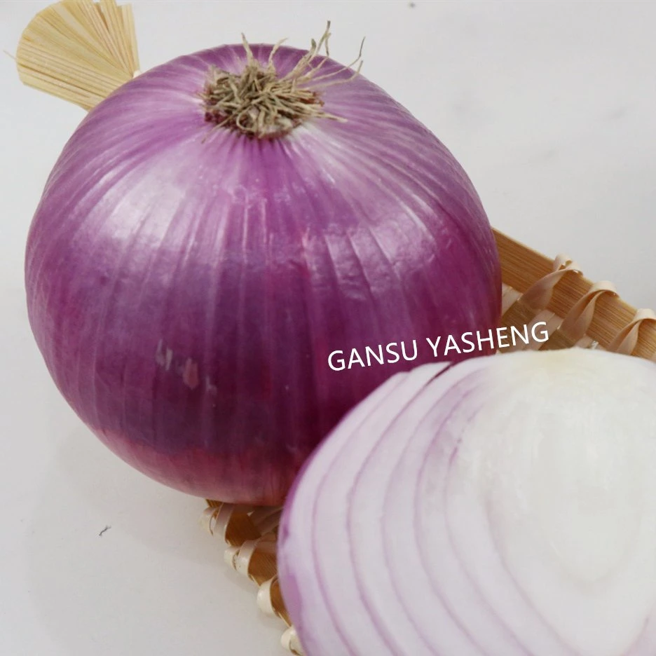 Onion Vegetables New Quality Fresh Red Onion Crop Wholesale/Supplier