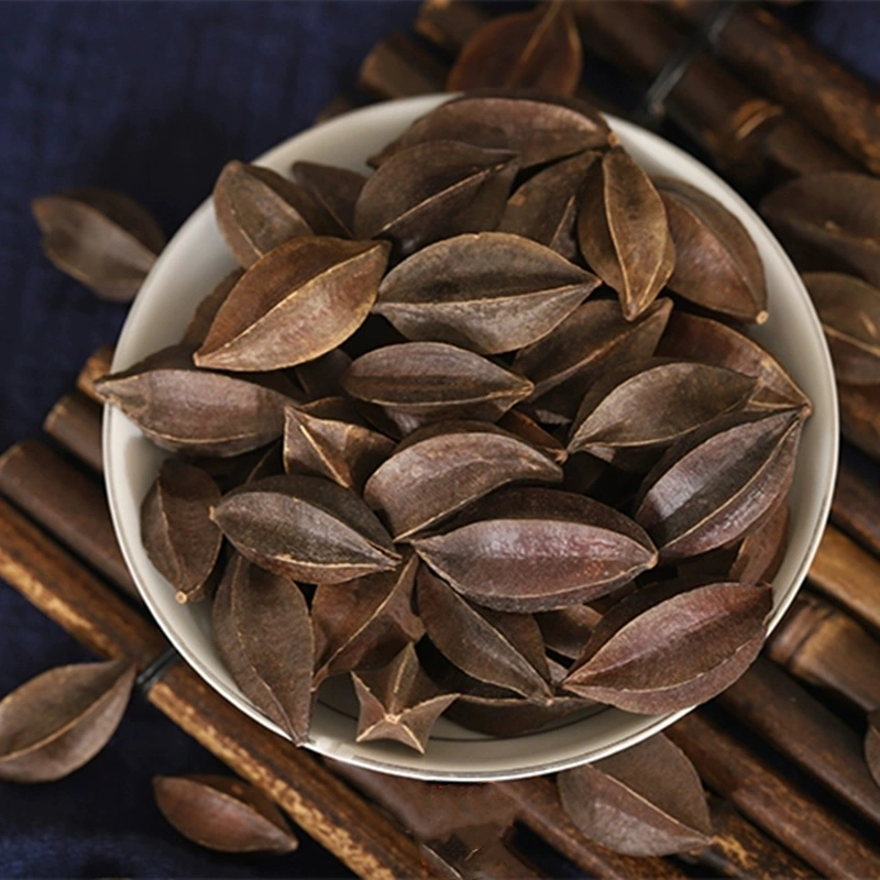 Quisqualis indica Extracto de planta de fruta preparado Medicina tradicional de hierbas chinas Promover la digestión