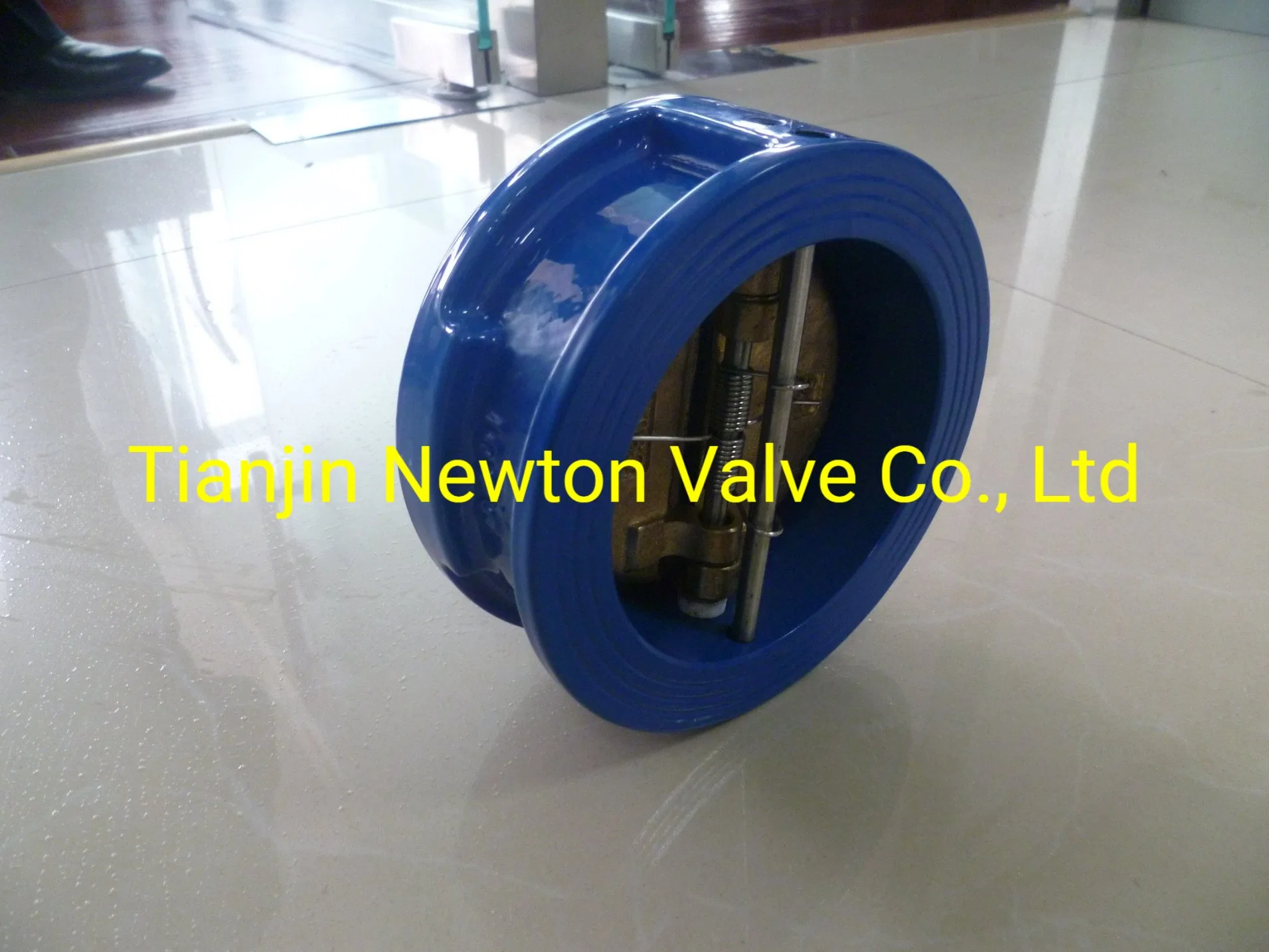 Ductile Cast Iron Dual Plates Wafer Type Check Valve Al-Br Disc 24"/DN600 DIN2576 Pn10/Pn16stainless Steel