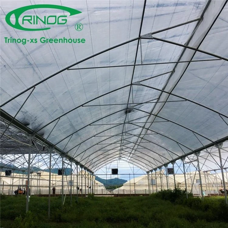 New Design Inner Shading System Cooling Multi-span Film Greenhouse for Agriculture From China