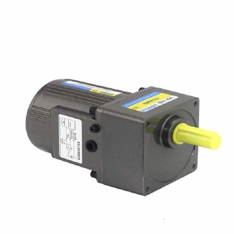 AC Gear Motor with Speed Controller