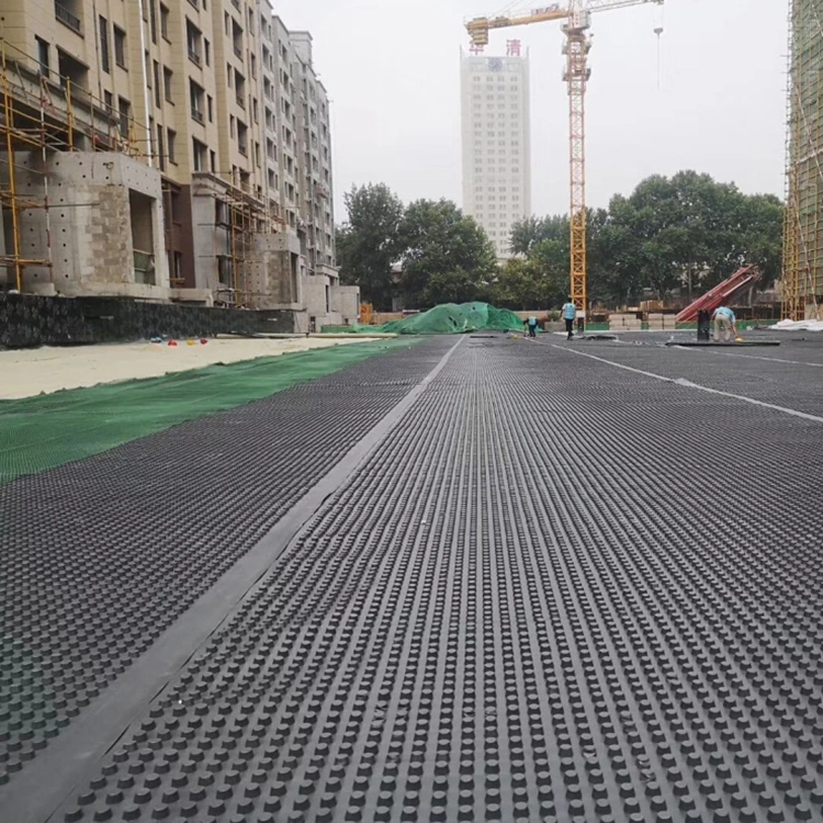 2.5m*30m Roll Height 10mm HDPE Drainage Board Sheet