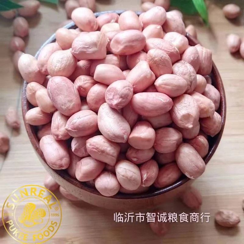 Roasted Peanut Kernels with Skin/Hsuji/Leisure Snacks 50/60