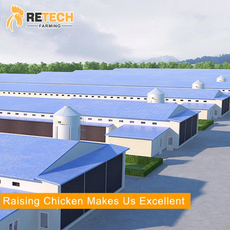 prefab steel structure poultry farm commercial chicken house for sale