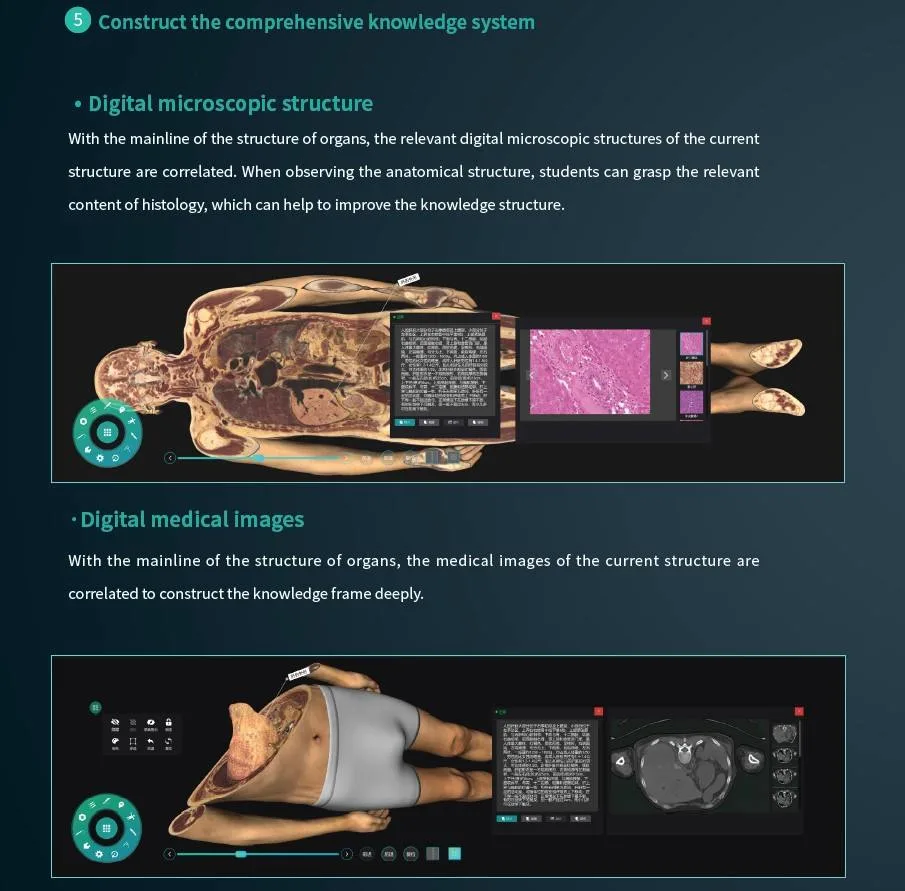 Low Price Autopsy Anatomage School Digital Human Body System Virtual Anatomy Dissection Table for University