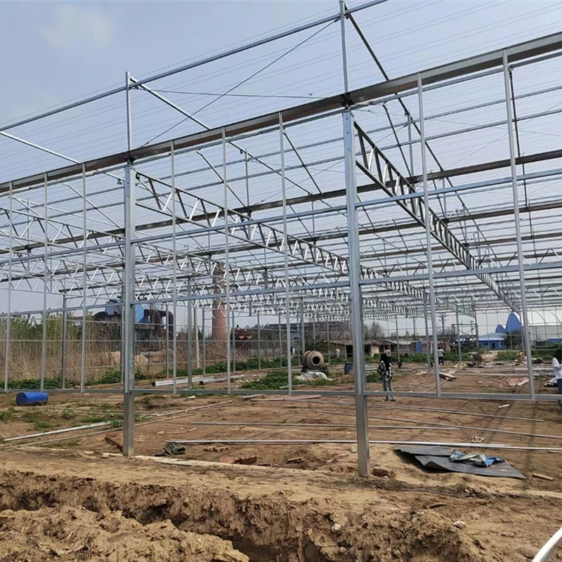 Modern Agriculture Multi Span Glass Greenhouse Venlo Green House with Hydroponics Planting System/Drip Irrigation System