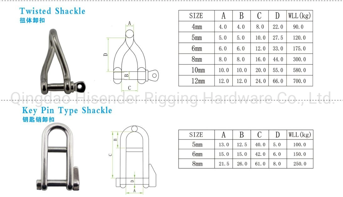 Stainless Steel Bow Shackle European Type, Us Type