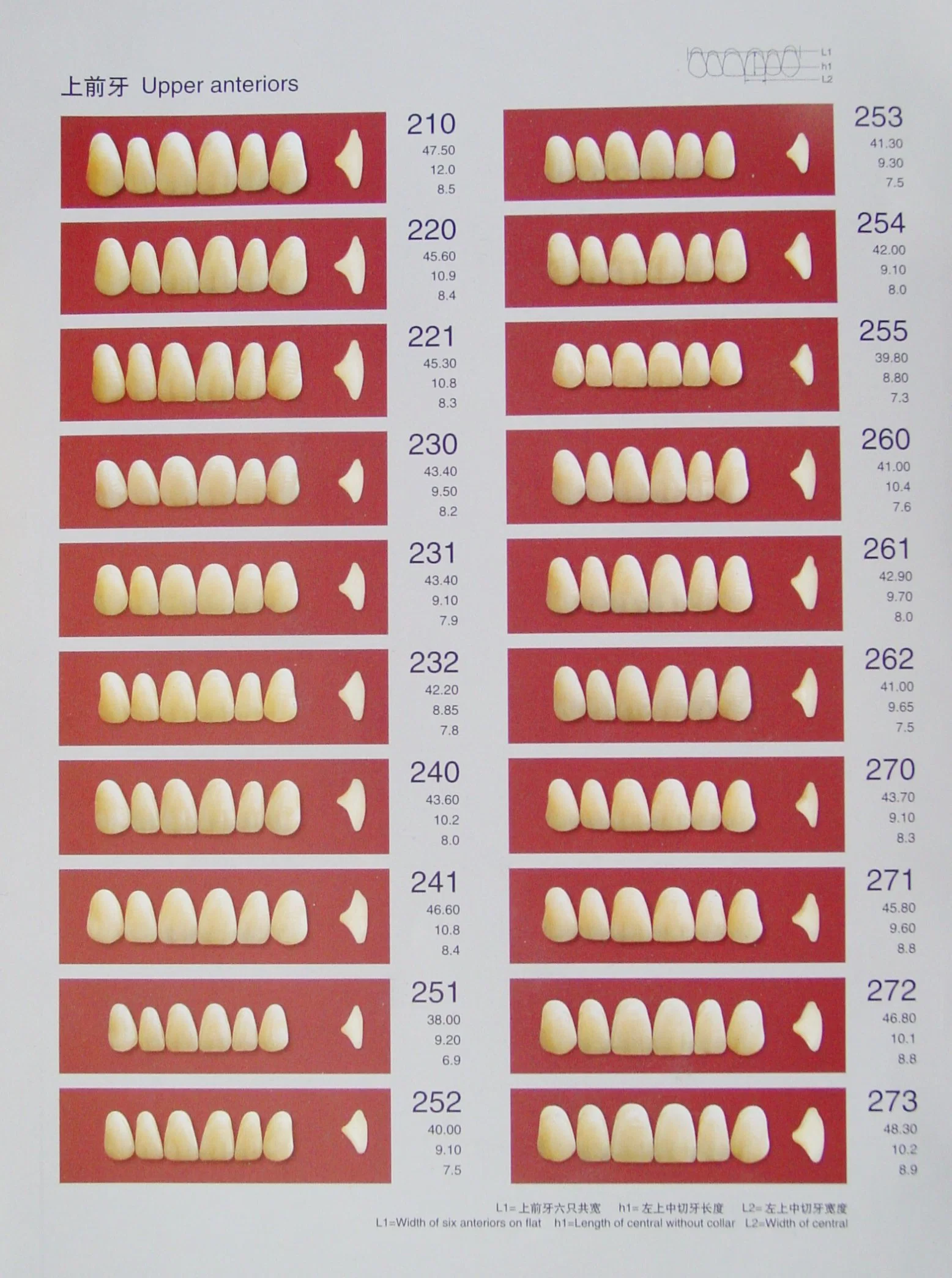 Los dientes de resina de polímero sintético dental