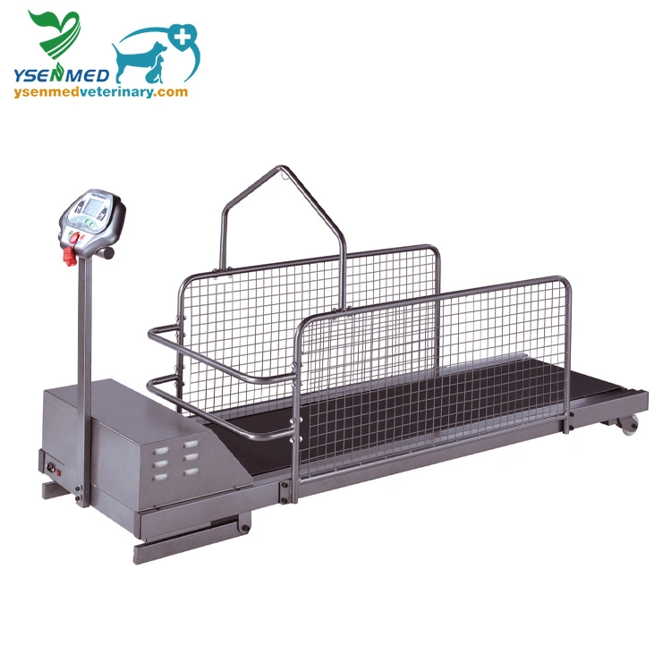 Ysvet-TM350ws Medical Equipment Stainless Steel Veterinary Treadmill