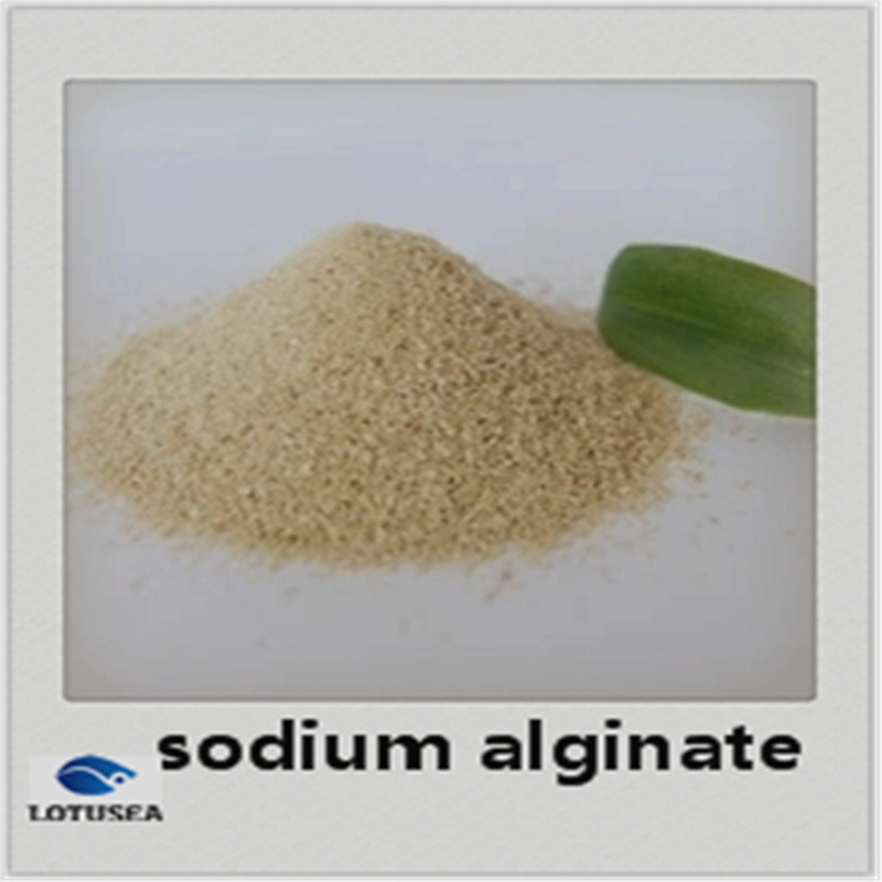 Industrial Sodium Alginate for Textile Use 150 Mesh 3% 4000cps