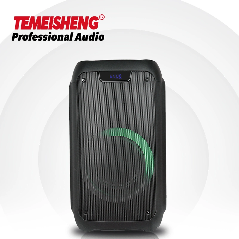 2022 Temeisheng Mobile Karaoke Speaker 8 Inch Portable Mobile Bt Speaker Sound Equipment Party Portable Speaker