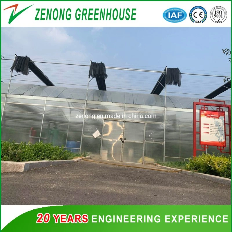 Hot DIP Galvanized Steel Frame Multi Span Glass Greenhouse for Sightseeing Restaurant