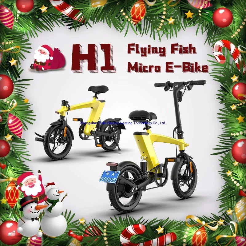 Neues Modell chinesischen 250W Motor 10Ah Batterie Long Range Electric Fahrrad für 2022 Weihnachten