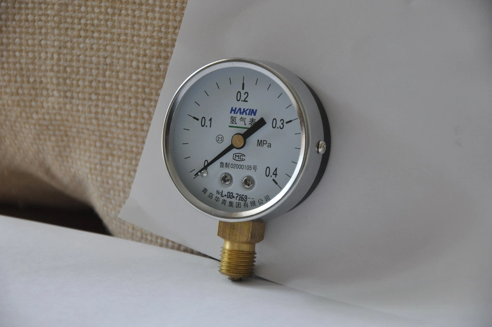 Top Quality Auto Parts Stainless Steel Pressure Gauge for Industry