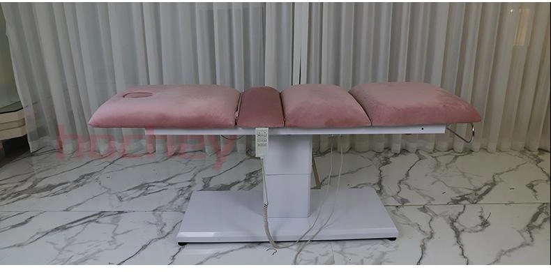 Hochey Medical High quality/High cost performance Portable Foldable Massage Table for Beauty Salon Treatment Beauty Bed