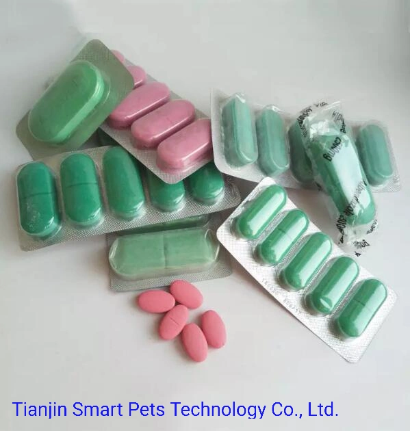 Insect Killing Pet Medicine and Animal Drugs Manufacturer