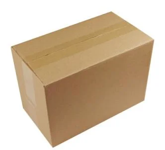 Caisse d'expédition standard Ocean carton médical ondulé 5 plis