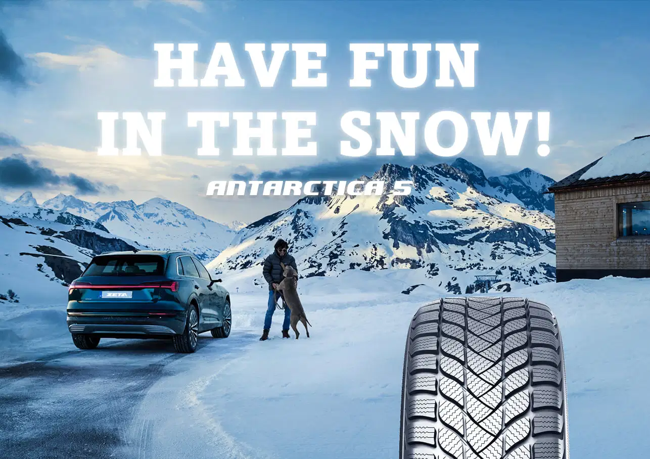 Zeta Pace Studdable Winter Tyre 215/65r16 215/60r17 for Snow and Ice Road to Canda and Russia Passenger Car Tires SUV Van with Stud, Studded Tyres for Sale