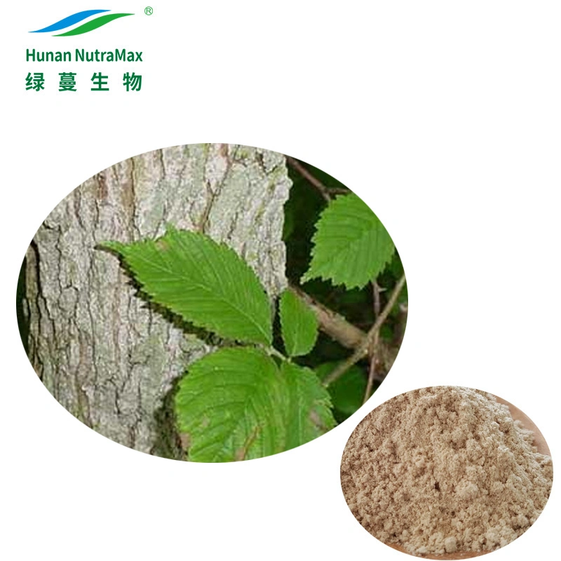 Pure Slippery Elm Bark Extract Powder