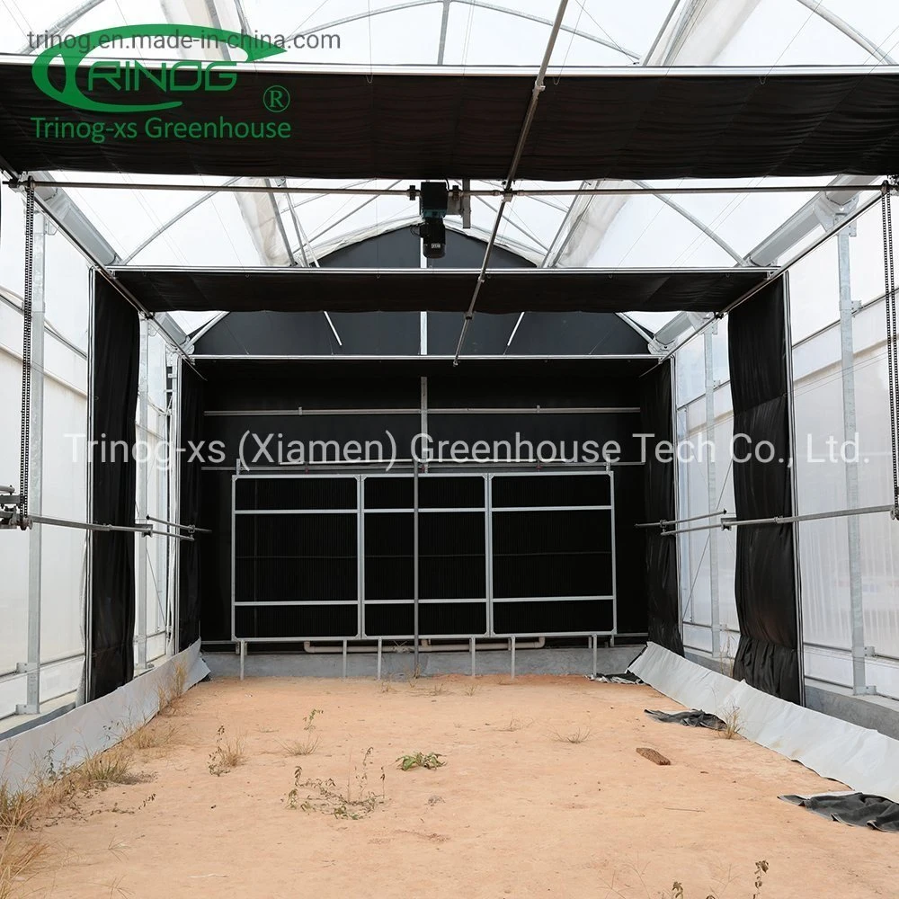 Trinog Greenhouse climate controlled fully automated light depth screen system green house for herb plant