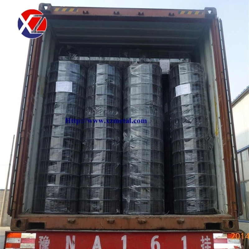 Black PVC Coated Big Hole Welded Wire Mesh