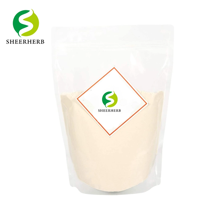 Factory Supply Xanthan Gum Powder with Best Price Non GMO Xanthan Gum