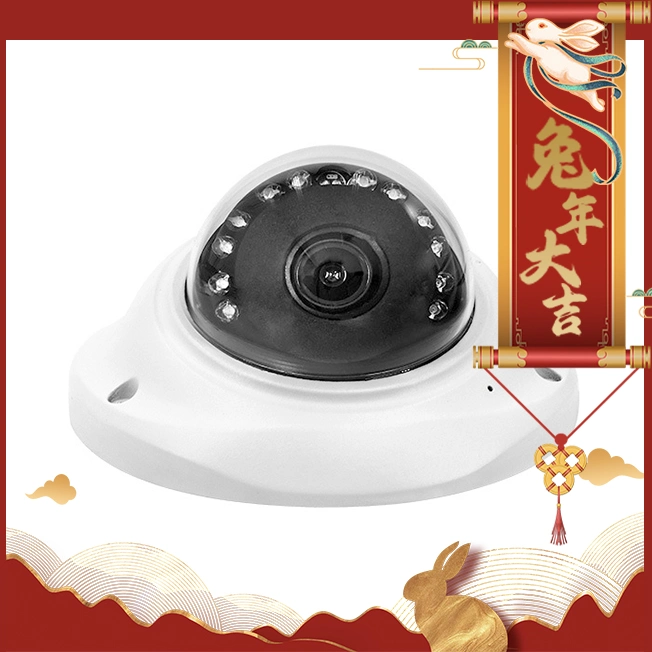 3mp Dome Ip Camera Suitable for Elevator Cctv