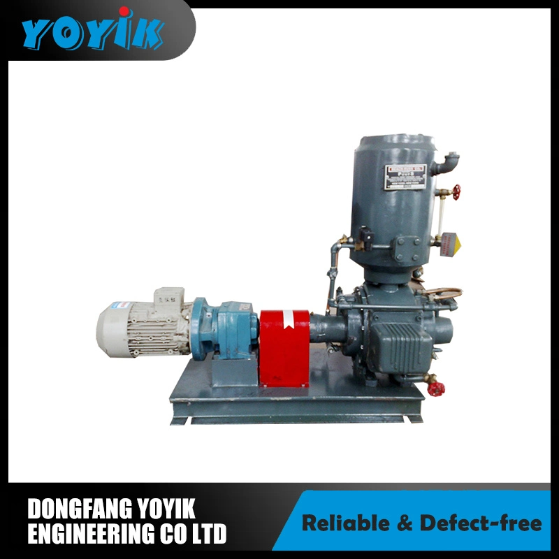 Ws30 High Vacuum Industrial Water Ring Vacuum Pump for Steam Turbine Generators