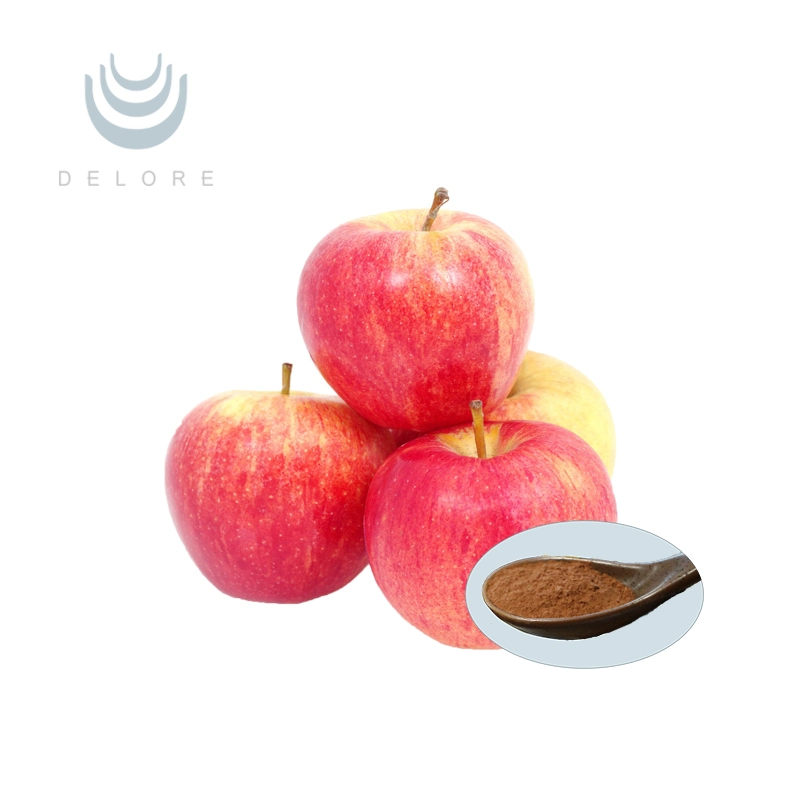 Pur et naturel extrait de cellules souches d'Apple en poudre organique extrait de pomme verte 80%90 % Extrait d'Apple