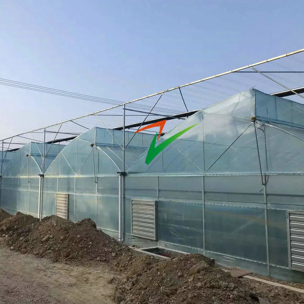 China Assembly Agricultural Po Film Greenhouse with Cooling Pad