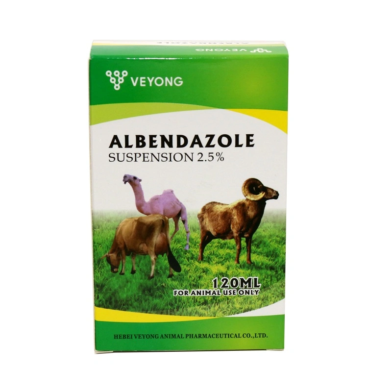 China Veterinärmedizin Hersteller 100mg/ml Albendazole Suspension Lösung 2,5% mit GMP OEM &amp; ODM