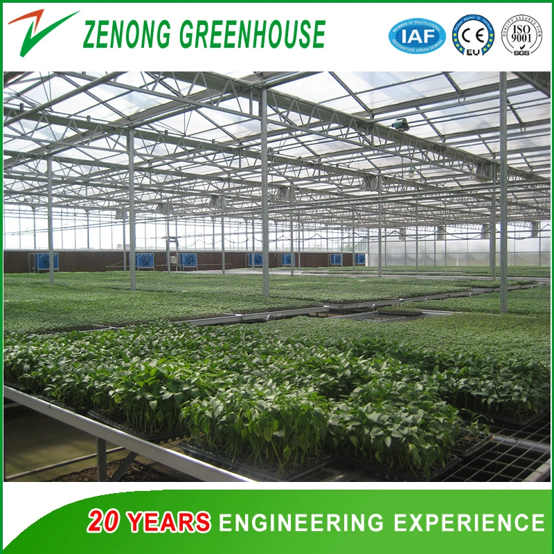 New Style Float Glass Multi-Span Greenhouse with Automatic Control system for Toursim/High-Tech Display/Ecological Picking