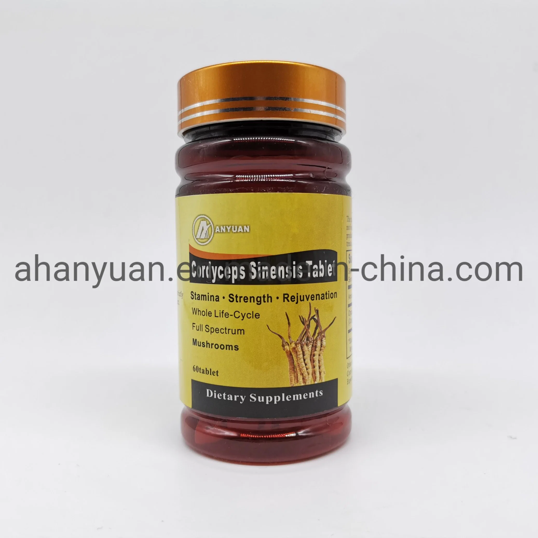 Meilleurs suppléments de soins de santé standard Herbal Tonic Cordyceps sauvage Sinensis Extraire la tablette