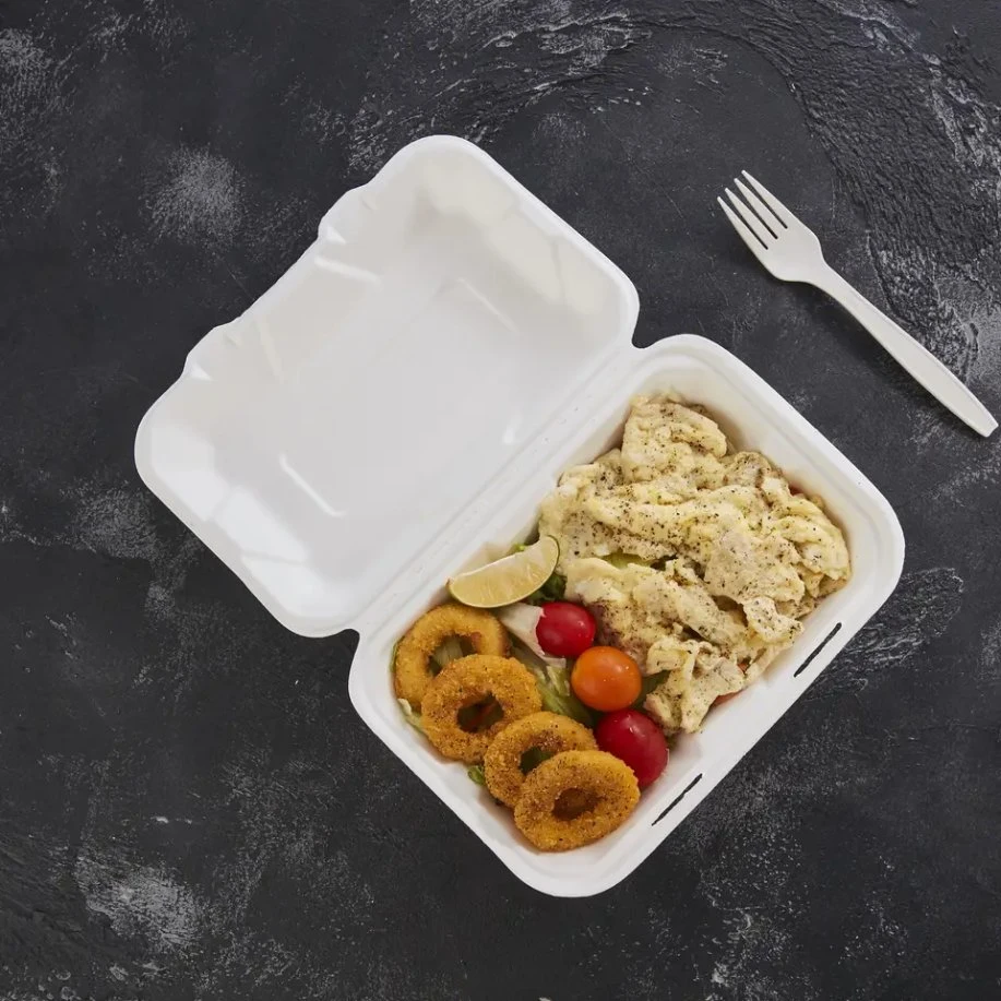 9 X 6" desechable de un solo compartimento Clamshell Eco to-Go Alimentos Caja para microondas