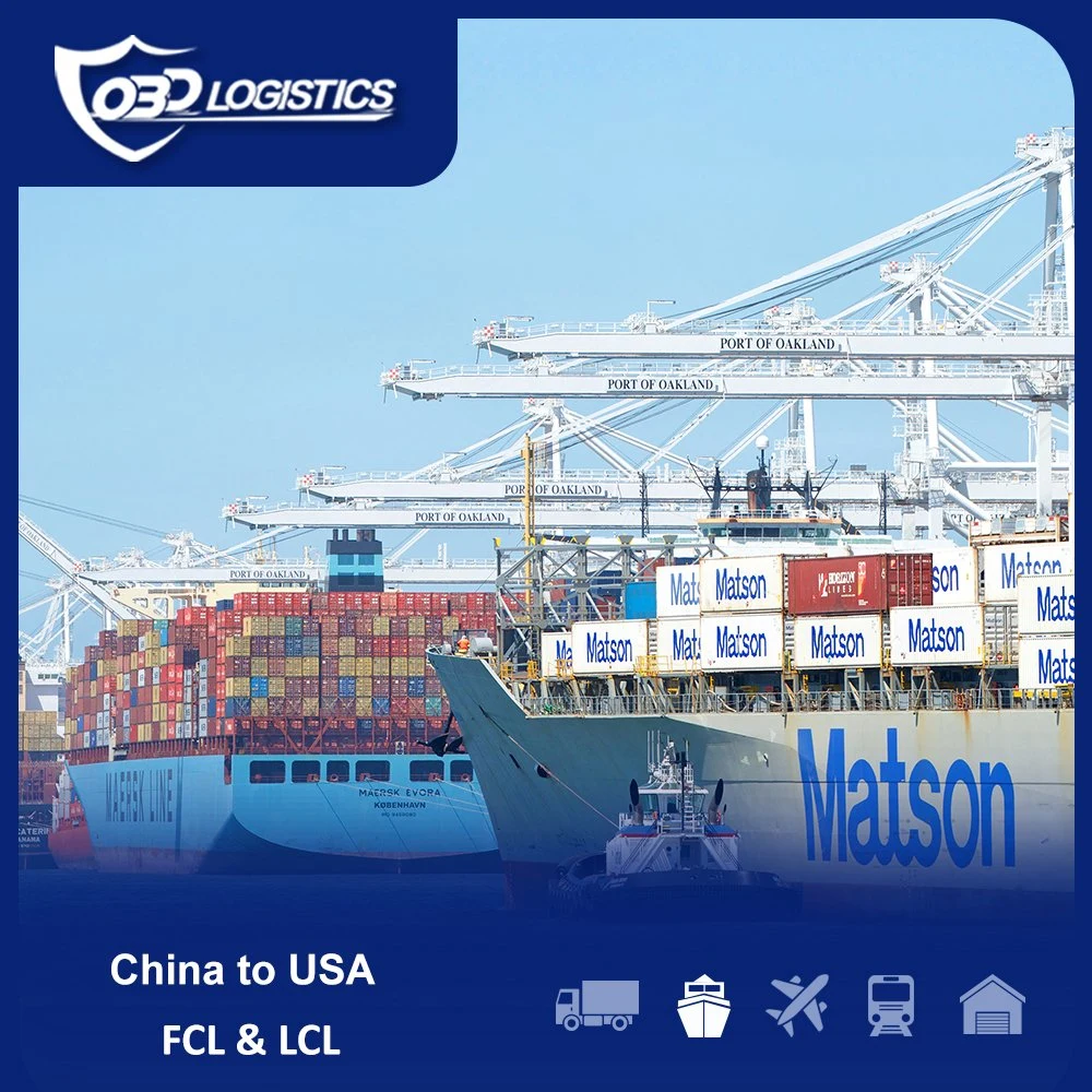 International DDP Shipping Rate China to Italy USA Sea Forwarder Agent China to UK Germany France