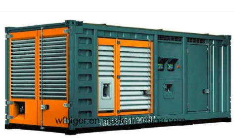 Ce & ISO Standard Green Power Water Cooling 300kw Biogas Generator