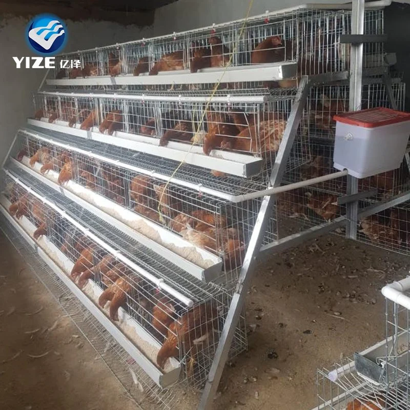 Battery Cages for Poultry Chicken Layer for Broilers and Baby Chicks