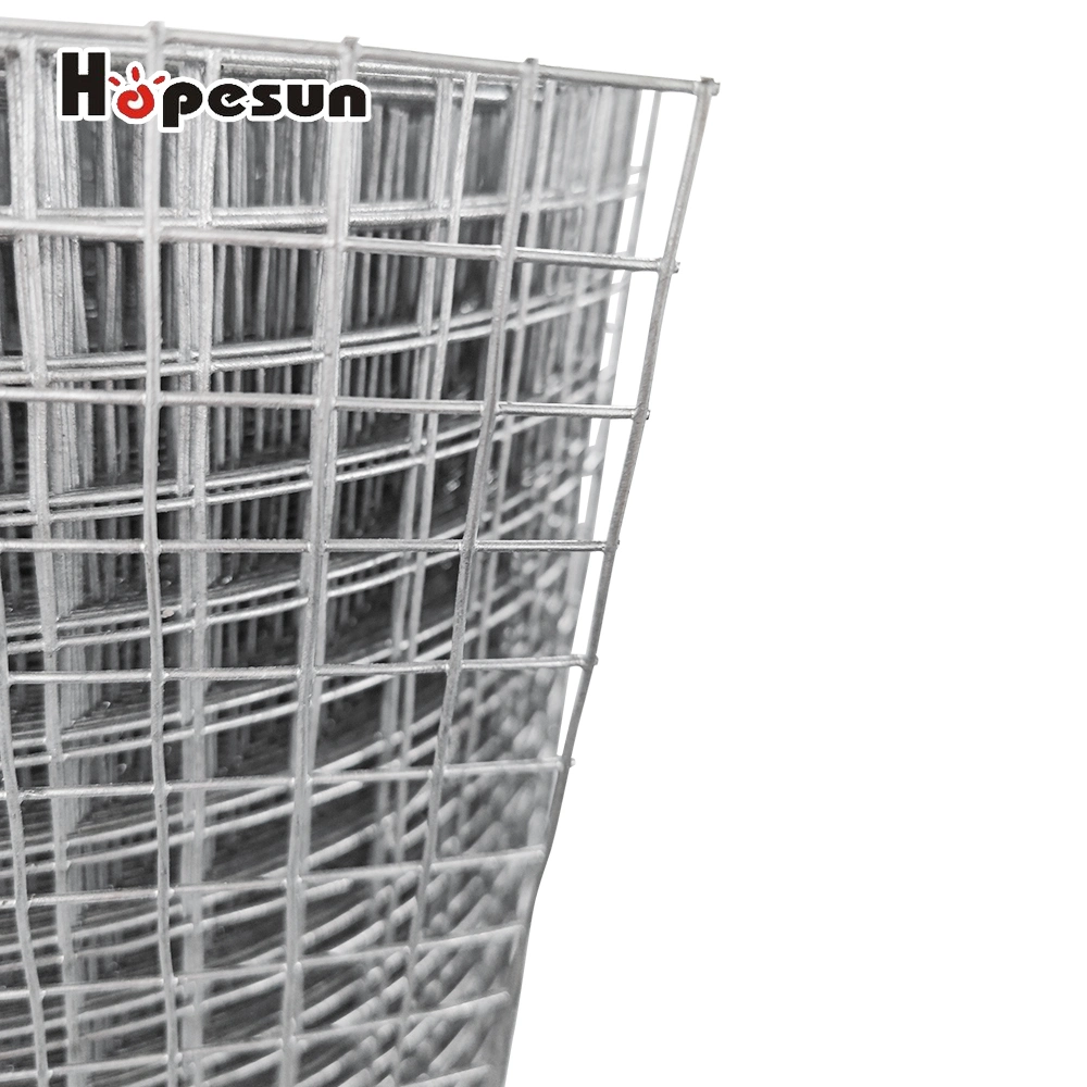 Hot Widt Wلفن Square Wire Mesh بعد اللحام