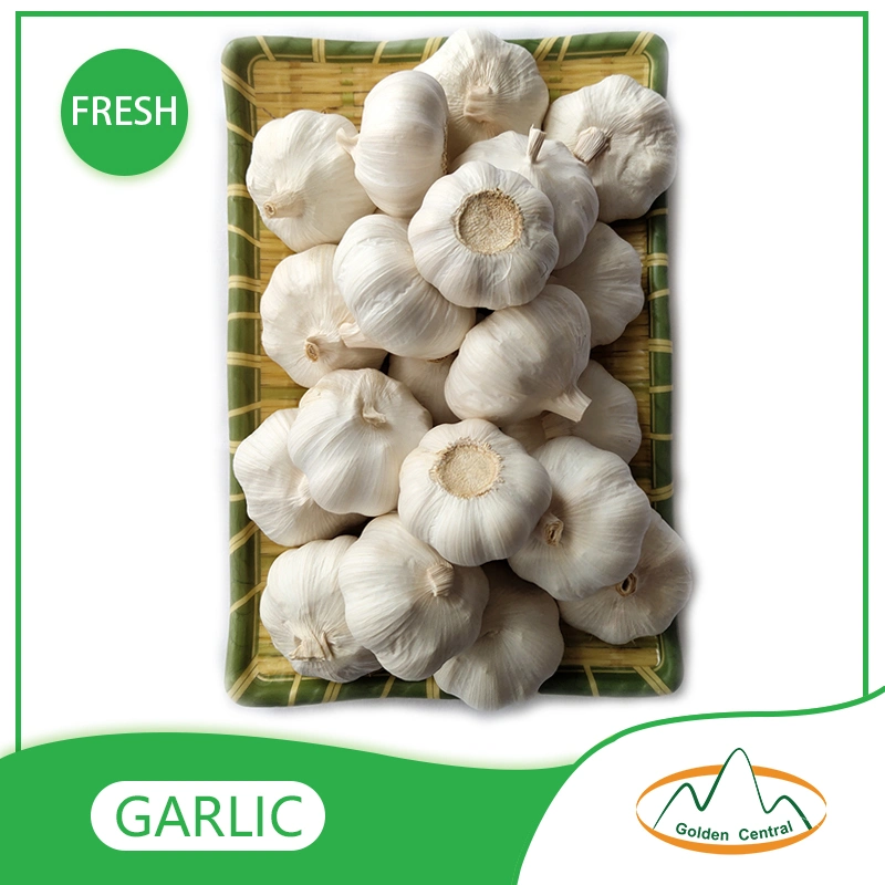 Good Quality Ginger and Garlic Packing Bag Garlic